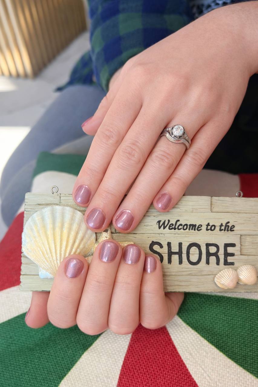 photo_11_2026-02-08_03-35-12