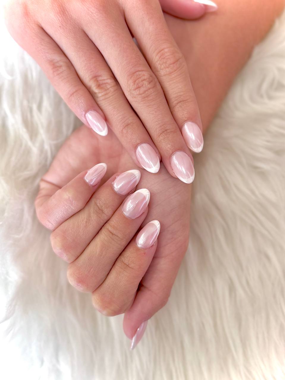 photo_24_2026-02-08_03-35-12