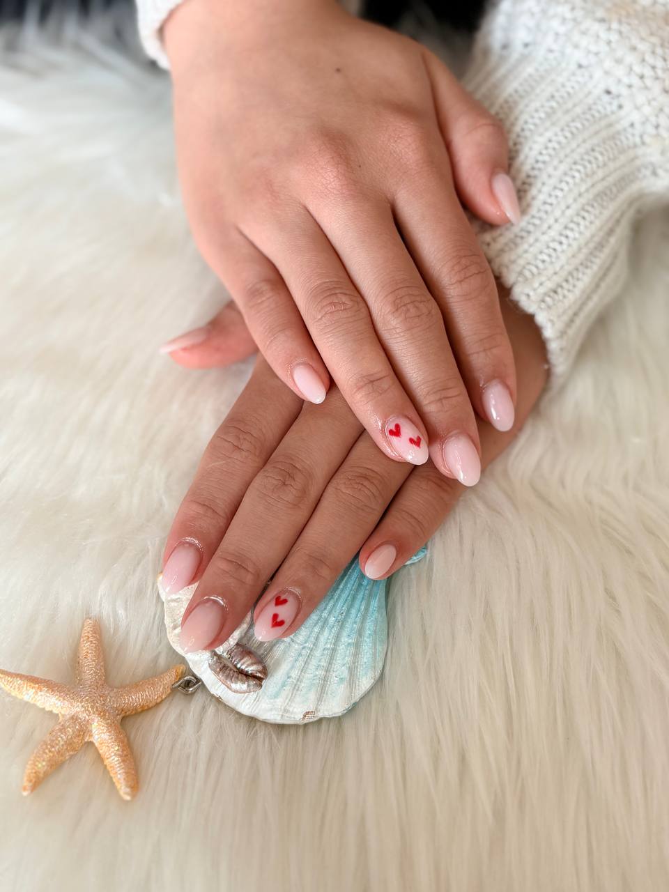 photo_7_2026-02-08_03-35-12